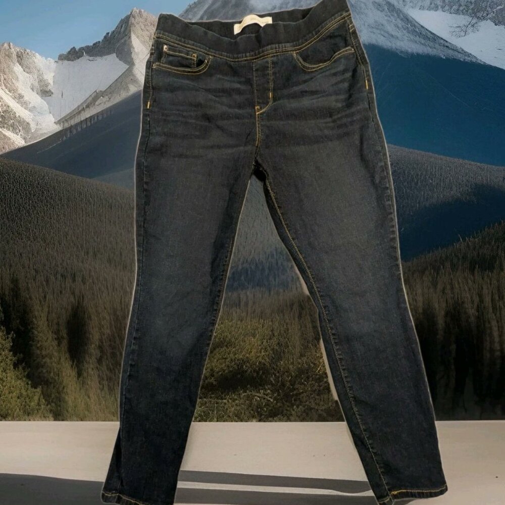 Women's Signature Levi's Gold Totally Shaping Pull On Skinny Jeans Size 32"X28"